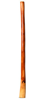 Ironbark Didgeridoo (IB287)